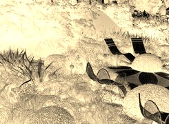 Sepia + Negatyw