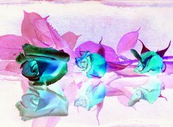 Negatyw