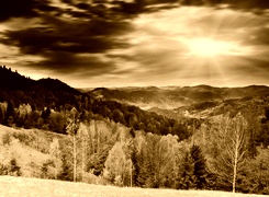 Sepia