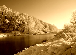 Sepia