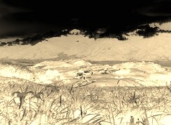 Sepia + Negatyw
