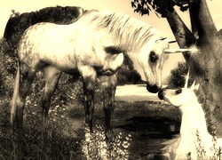 Sepia