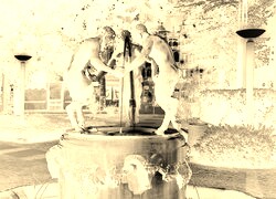 Sepia + Negatyw