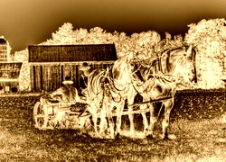 Sepia + Negatyw