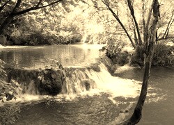 Szary + Sepia