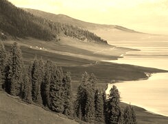 Szary + Sepia