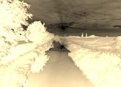 Sepia + Negatyw