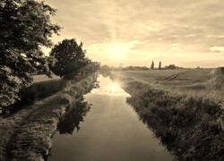 Szary + Sepia