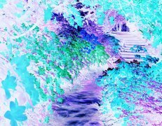 Negatyw