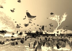 Sepia + Negatyw
