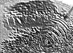 Skamielina
