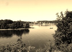Szary + Sepia