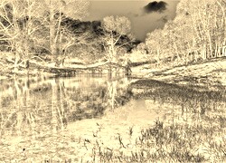 Sepia + Negatyw