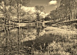 Sepia