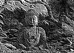 Skamielina