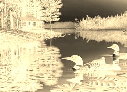 Sepia + Negatyw