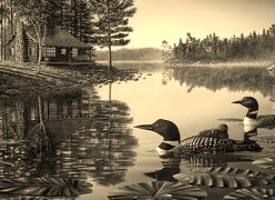 Szary + Sepia