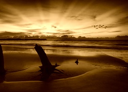 Sepia