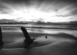Szary + Sepia