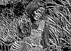 Skamielina