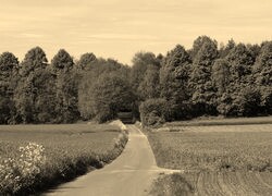 Sepia