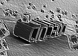 Skamielina