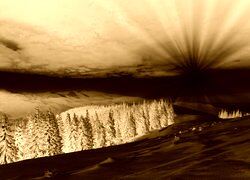 Sepia + Negatyw
