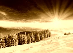 Sepia