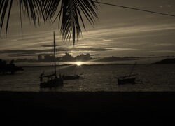 Szary + Sepia