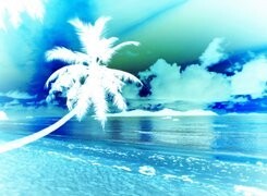 Negatyw