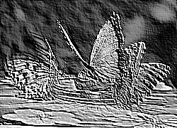 Skamielina