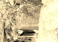 Sepia + Negatyw