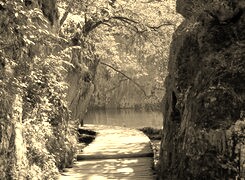 Sepia