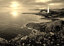 Sepia