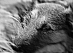 Skamielina