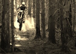 Szary + Sepia