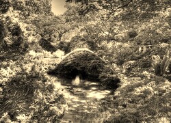 Sepia