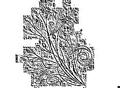 Skamielina