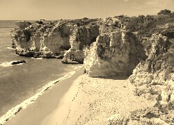 Szary + Sepia