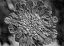 Skamielina
