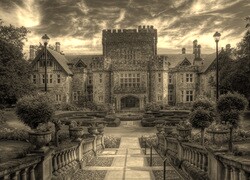Szary + Sepia