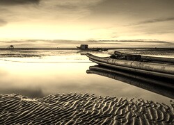 Szary + Sepia