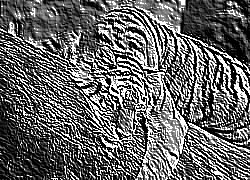 Skamielina