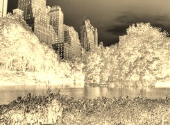 Sepia + Negatyw