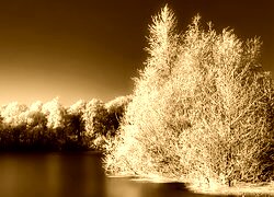 Sepia