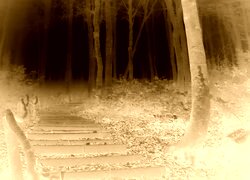 Sepia + Negatyw