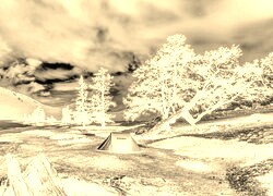 Sepia + Negatyw