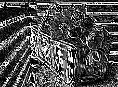 Skamielina