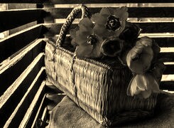 Szary + Sepia