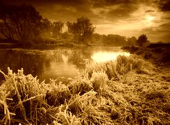 Sepia